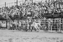 Binbrook Fair - Ram Rodeo Tour - Rodeo Photographer - Equine Photographer - Petes Photography or Petes Western - September 14 2024