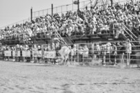 Binbrook Fair - Ram Rodeo Tour - Rodeo Photographer - Equine Photographer - Petes Photography or Petes Western - September 14 2024