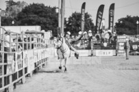 Binbrook Fair - Ram Rodeo Tour - Rodeo Photographer - Equine Photographer - Petes Photography or Petes Western - September 14 2024