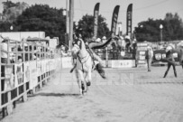 Binbrook Fair - Ram Rodeo Tour - Rodeo Photographer - Equine Photographer - Petes Photography or Petes Western - September 14 2024