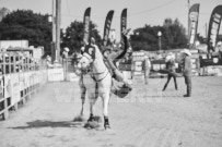 Binbrook Fair - Ram Rodeo Tour - Rodeo Photographer - Equine Photographer - Petes Photography or Petes Western - September 14 2024