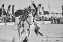 Binbrook Fair - Ram Rodeo Tour - Rodeo Photographer - Equine Photographer - Petes Photography or Petes Western - September 14 2024