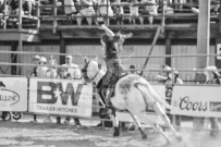 Binbrook Fair - Ram Rodeo Tour - Rodeo Photographer - Equine Photographer - Petes Photography or Petes Western - September 14 2024