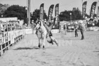 Binbrook Fair - Ram Rodeo Tour - Rodeo Photographer - Equine Photographer - Petes Photography or Petes Western - September 14 2024