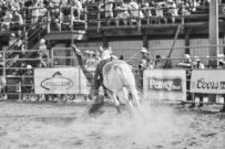 Binbrook Fair - Ram Rodeo Tour - Rodeo Photographer - Equine Photographer - Petes Photography or Petes Western - September 14 2024