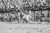 Binbrook Fair - Ram Rodeo Tour - Rodeo Photographer - Equine Photographer - Petes Photography or Petes Western - September 14 2024