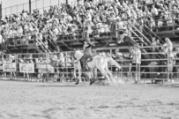 Binbrook Fair - Ram Rodeo Tour - Rodeo Photographer - Equine Photographer - Petes Photography or Petes Western - September 14 2024