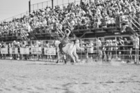 Binbrook Fair - Ram Rodeo Tour - Rodeo Photographer - Equine Photographer - Petes Photography or Petes Western - September 14 2024