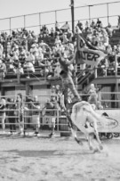 Binbrook Fair - Ram Rodeo Tour - Rodeo Photographer - Equine Photographer - Petes Photography or Petes Western - September 14 2024