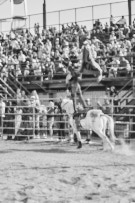 Binbrook Fair - Ram Rodeo Tour - Rodeo Photographer - Equine Photographer - Petes Photography or Petes Western - September 14 2024