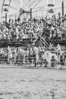 Binbrook Fair - Ram Rodeo Tour - Rodeo Photographer - Equine Photographer - Petes Photography or Petes Western - September 14 2024