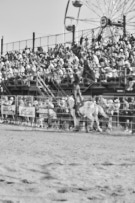 Binbrook Fair - Ram Rodeo Tour - Rodeo Photographer - Equine Photographer - Petes Photography or Petes Western - September 14 2024