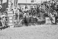 Binbrook Fair - Ram Rodeo Tour - Rodeo Photographer - Equine Photographer - Petes Photography or Petes Western - September 14 2024