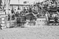 Binbrook Fair - Ram Rodeo Tour - Rodeo Photographer - Equine Photographer - Petes Photography or Petes Western - September 14 2024