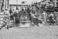 Binbrook Fair - Ram Rodeo Tour - Rodeo Photographer - Equine Photographer - Petes Photography or Petes Western - September 14 2024