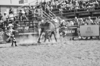 Binbrook Fair - Ram Rodeo Tour - Rodeo Photographer - Equine Photographer - Petes Photography or Petes Western - September 14 2024