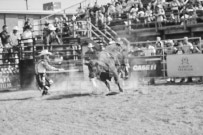 Binbrook Fair - Ram Rodeo Tour - Rodeo Photographer - Equine Photographer - Petes Photography or Petes Western - September 14 2024