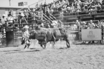 Binbrook Fair - Ram Rodeo Tour - Rodeo Photographer - Equine Photographer - Petes Photography or Petes Western - September 14 2024