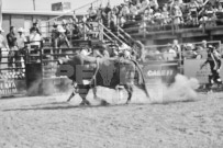 Binbrook Fair - Ram Rodeo Tour - Rodeo Photographer - Equine Photographer - Petes Photography or Petes Western - September 14 2024