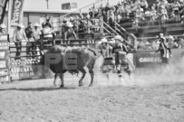 Binbrook Fair - Ram Rodeo Tour - Rodeo Photographer - Equine Photographer - Petes Photography or Petes Western - September 14 2024