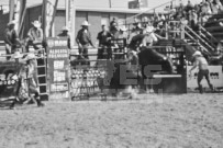 Binbrook Fair - Ram Rodeo Tour - Rodeo Photographer - Equine Photographer - Petes Photography or Petes Western - September 14 2024