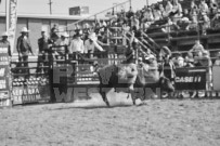 Binbrook Fair - Ram Rodeo Tour - Rodeo Photographer - Equine Photographer - Petes Photography or Petes Western - September 14 2024