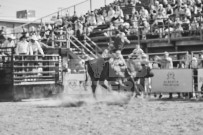 Binbrook Fair - Ram Rodeo Tour - Rodeo Photographer - Equine Photographer - Petes Photography or Petes Western - September 14 2024