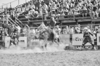 Binbrook Fair - Ram Rodeo Tour - Rodeo Photographer - Equine Photographer - Petes Photography or Petes Western - September 14 2024