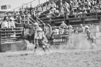 Binbrook Fair - Ram Rodeo Tour - Rodeo Photographer - Equine Photographer - Petes Photography or Petes Western - September 14 2024