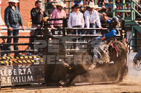 Binbrook Fair - Ram Rodeo Tour - Rodeo Photographer - Equine Photographer - Petes Photography or Petes Western - September 14 2024