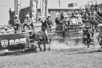 Binbrook Fair - Ram Rodeo Tour - Rodeo Photographer - Equine Photographer - Petes Photography or Petes Western - September 14 2024