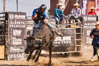 Binbrook Fair - Ram Rodeo Tour - Rodeo Photographer - Equine Photographer - Petes Photography or Petes Western - September 14 2024