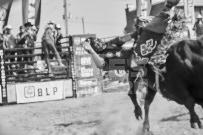 Binbrook Fair - Ram Rodeo Tour - Rodeo Photographer - Equine Photographer - Petes Photography or Petes Western - September 14 2024