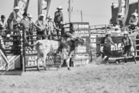 Binbrook Fair - Ram Rodeo Tour - Rodeo Photographer - Equine Photographer - Petes Photography or Petes Western - September 14 2024