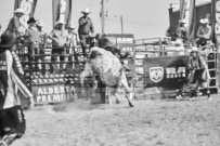 Binbrook Fair - Ram Rodeo Tour - Rodeo Photographer - Equine Photographer - Petes Photography or Petes Western - September 14 2024