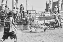 Binbrook Fair - Ram Rodeo Tour - Rodeo Photographer - Equine Photographer - Petes Photography or Petes Western - September 14 2024