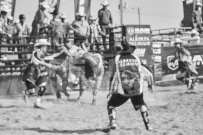 Binbrook Fair - Ram Rodeo Tour - Rodeo Photographer - Equine Photographer - Petes Photography or Petes Western - September 14 2024