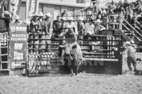 Binbrook Fair - Ram Rodeo Tour - Rodeo Photographer - Equine Photographer - Petes Photography or Petes Western - September 14 2024