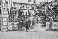 Binbrook Fair - Ram Rodeo Tour - Rodeo Photographer - Equine Photographer - Petes Photography or Petes Western - September 14 2024