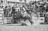 Binbrook Fair - Ram Rodeo Tour - Rodeo Photographer - Equine Photographer - Petes Photography or Petes Western - September 14 2024