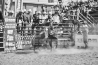 Binbrook Fair - Ram Rodeo Tour - Rodeo Photographer - Equine Photographer - Petes Photography or Petes Western - September 14 2024