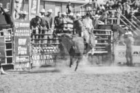 Binbrook Fair - Ram Rodeo Tour - Rodeo Photographer - Equine Photographer - Petes Photography or Petes Western - September 14 2024