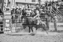 Binbrook Fair - Ram Rodeo Tour - Rodeo Photographer - Equine Photographer - Petes Photography or Petes Western - September 14 2024