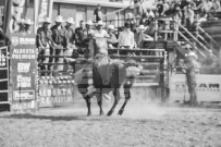 Binbrook Fair - Ram Rodeo Tour - Rodeo Photographer - Equine Photographer - Petes Photography or Petes Western - September 14 2024