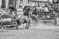 Binbrook Fair - Ram Rodeo Tour - Rodeo Photographer - Equine Photographer - Petes Photography or Petes Western - September 14 2024