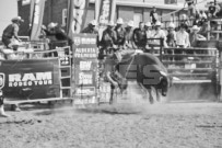 Binbrook Fair - Ram Rodeo Tour - Rodeo Photographer - Equine Photographer - Petes Photography or Petes Western - September 14 2024