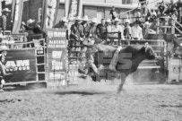 Binbrook Fair - Ram Rodeo Tour - Rodeo Photographer - Equine Photographer - Petes Photography or Petes Western - September 14 2024