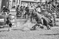 Binbrook Fair - Ram Rodeo Tour - Rodeo Photographer - Equine Photographer - Petes Photography or Petes Western - September 14 2024