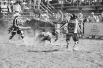 Binbrook Fair - Ram Rodeo Tour - Rodeo Photographer - Equine Photographer - Petes Photography or Petes Western - September 14 2024