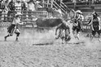 Binbrook Fair - Ram Rodeo Tour - Rodeo Photographer - Equine Photographer - Petes Photography or Petes Western - September 14 2024